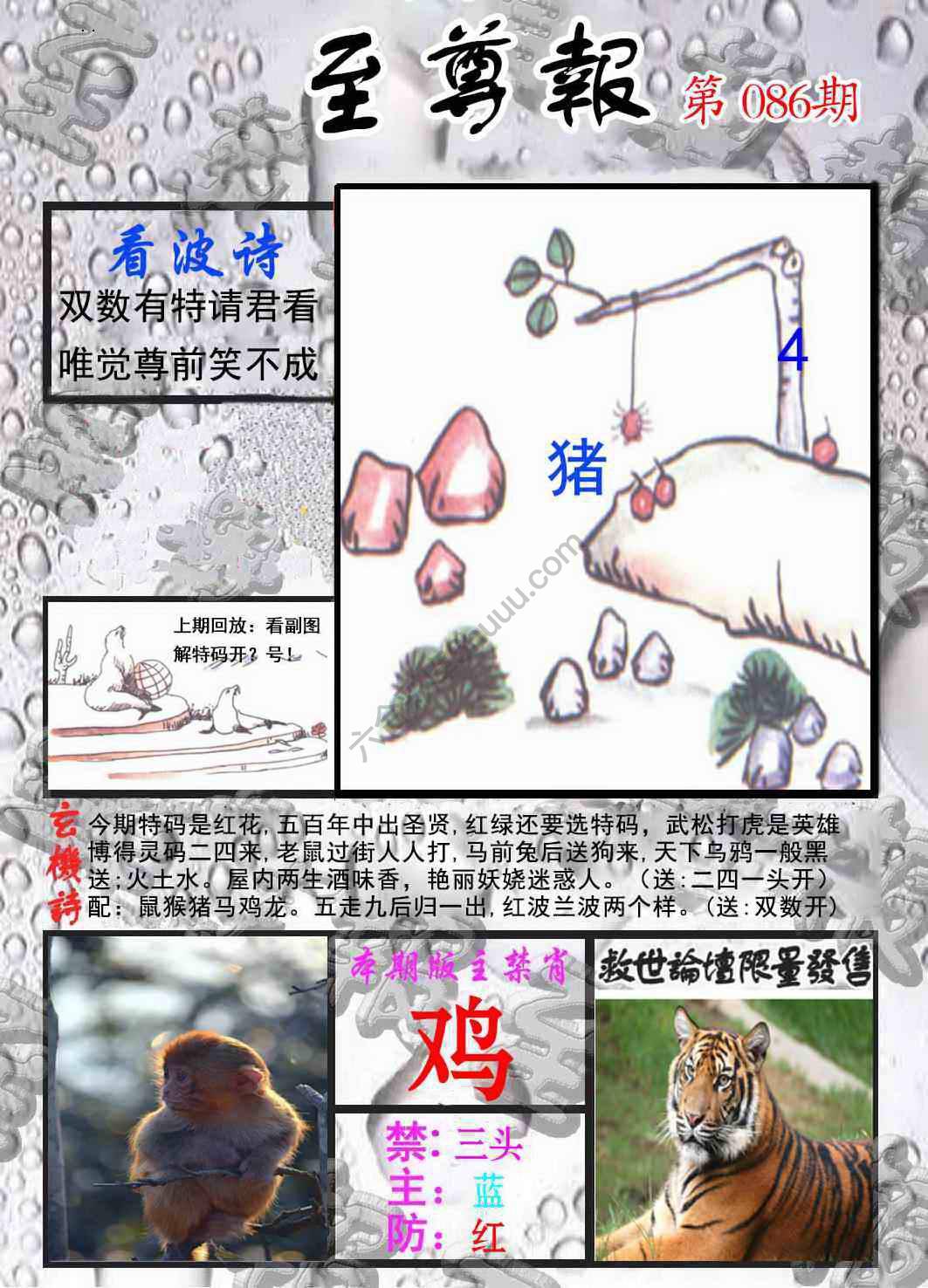 至尊报