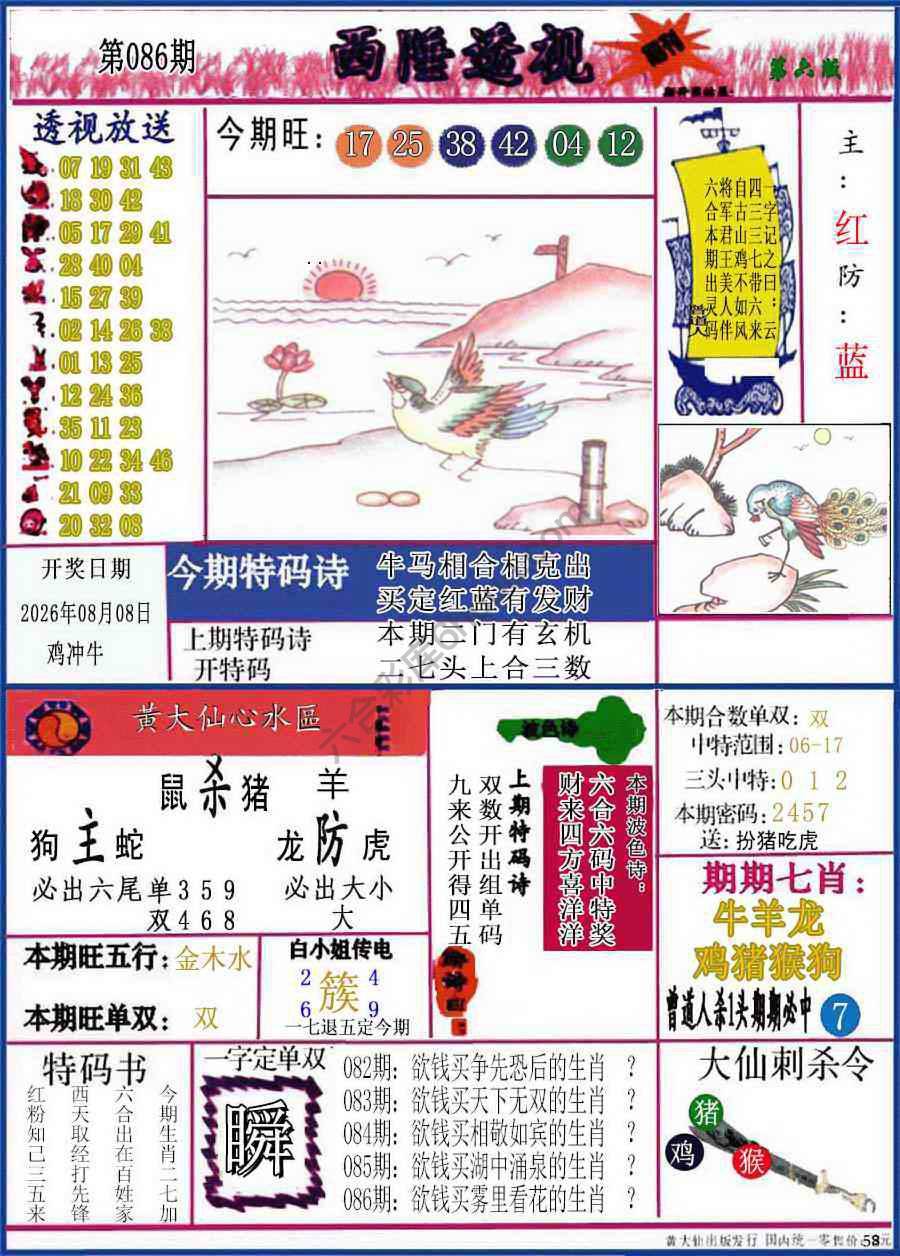 西陲透视（正版）