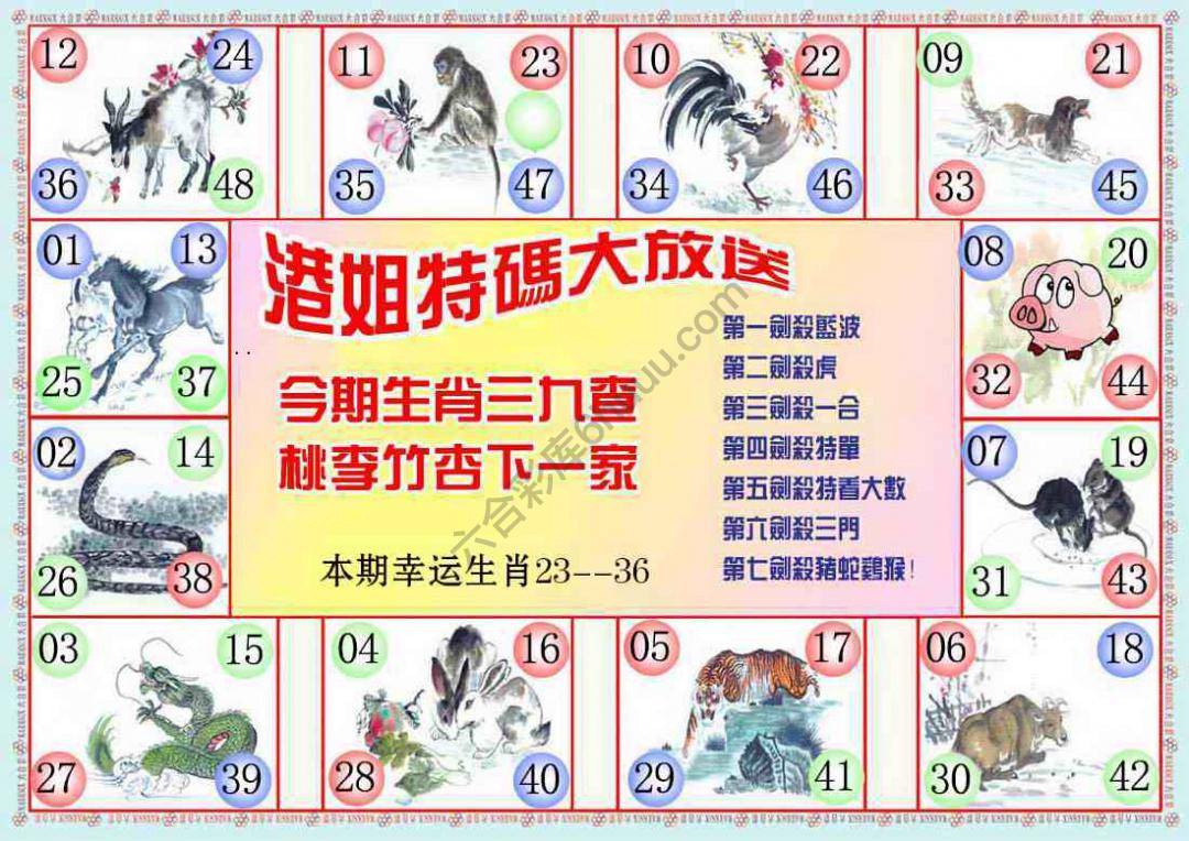 港姐密报