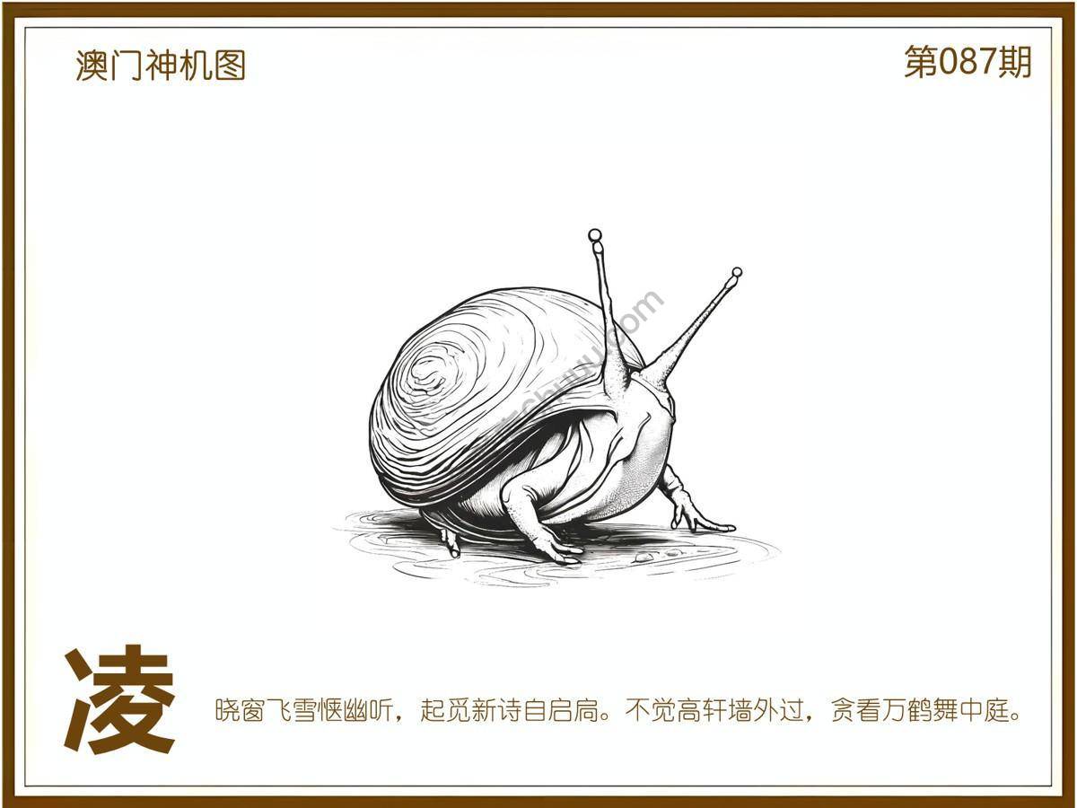澳门神机图