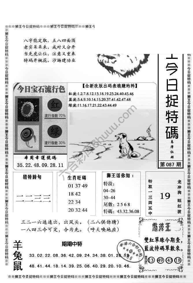 狮王今日抓特码