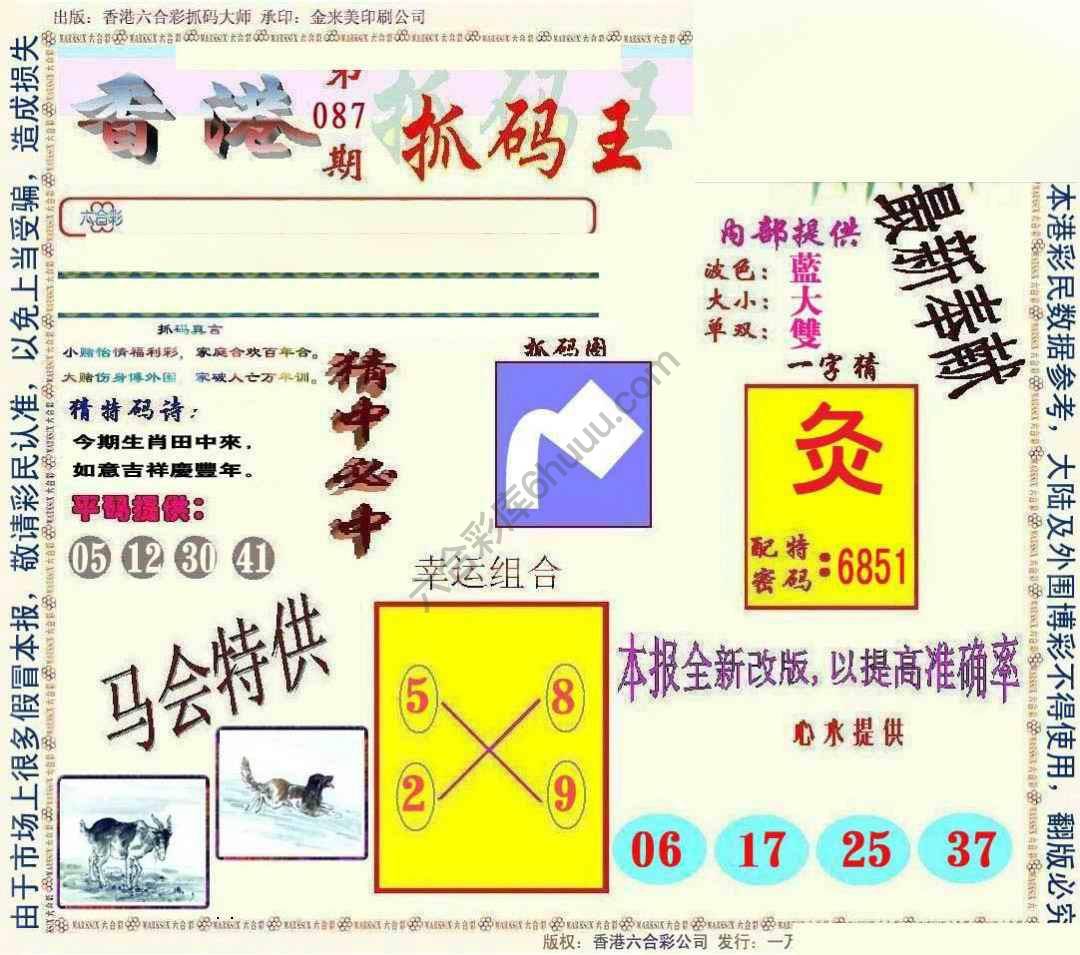 新抓码王