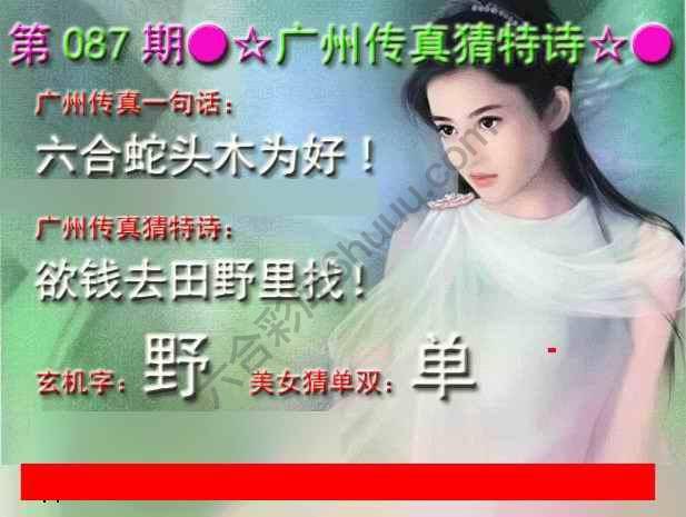 广州传真中特诗