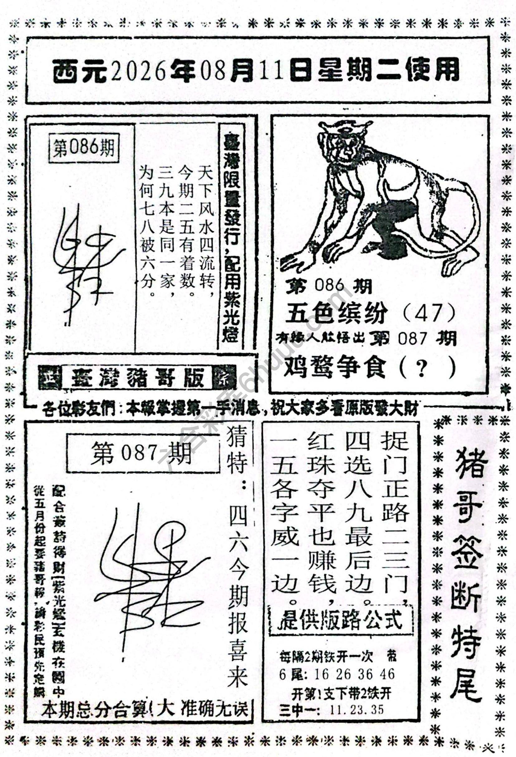 猪哥签断特尾
