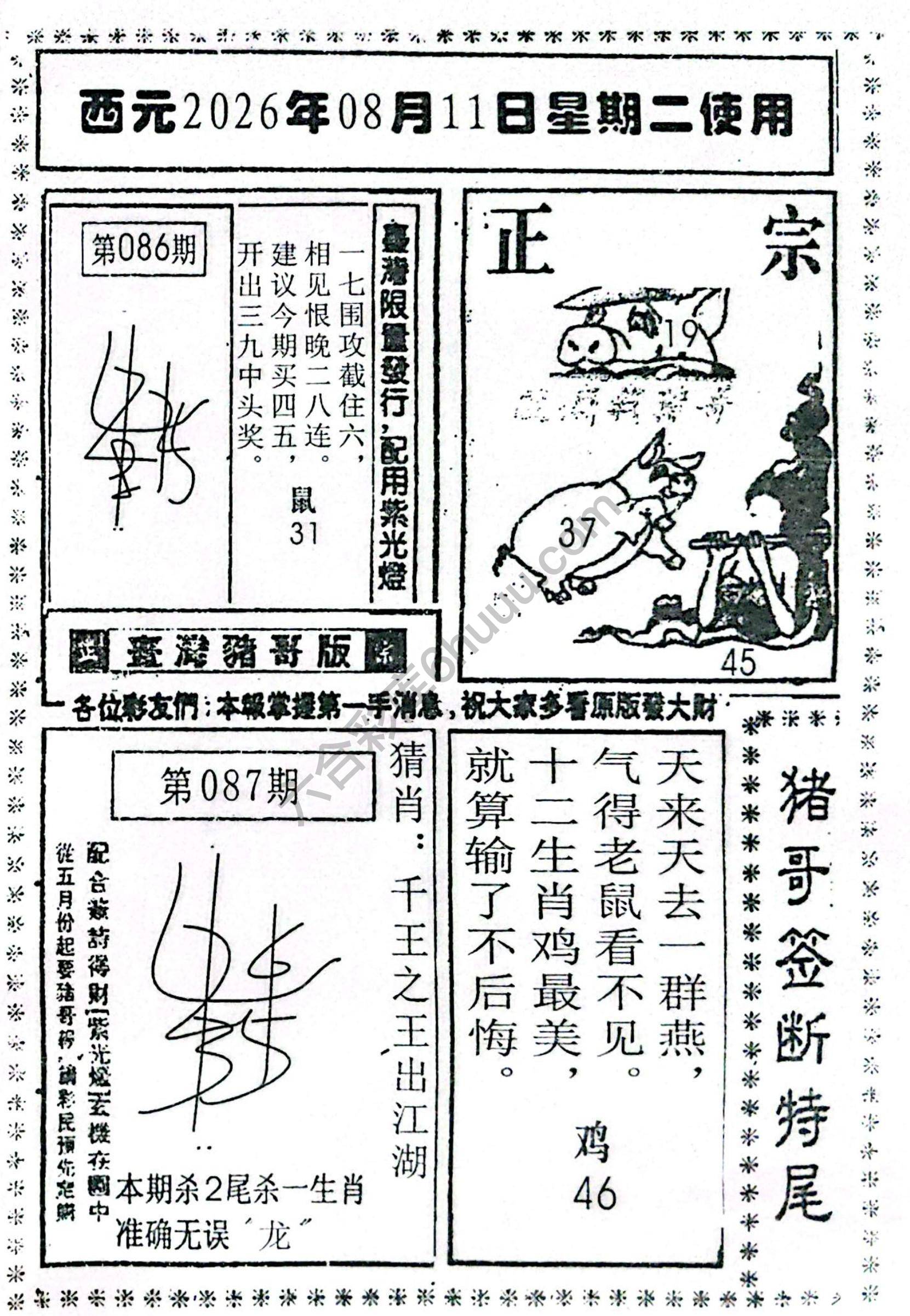 猪哥签断特尾