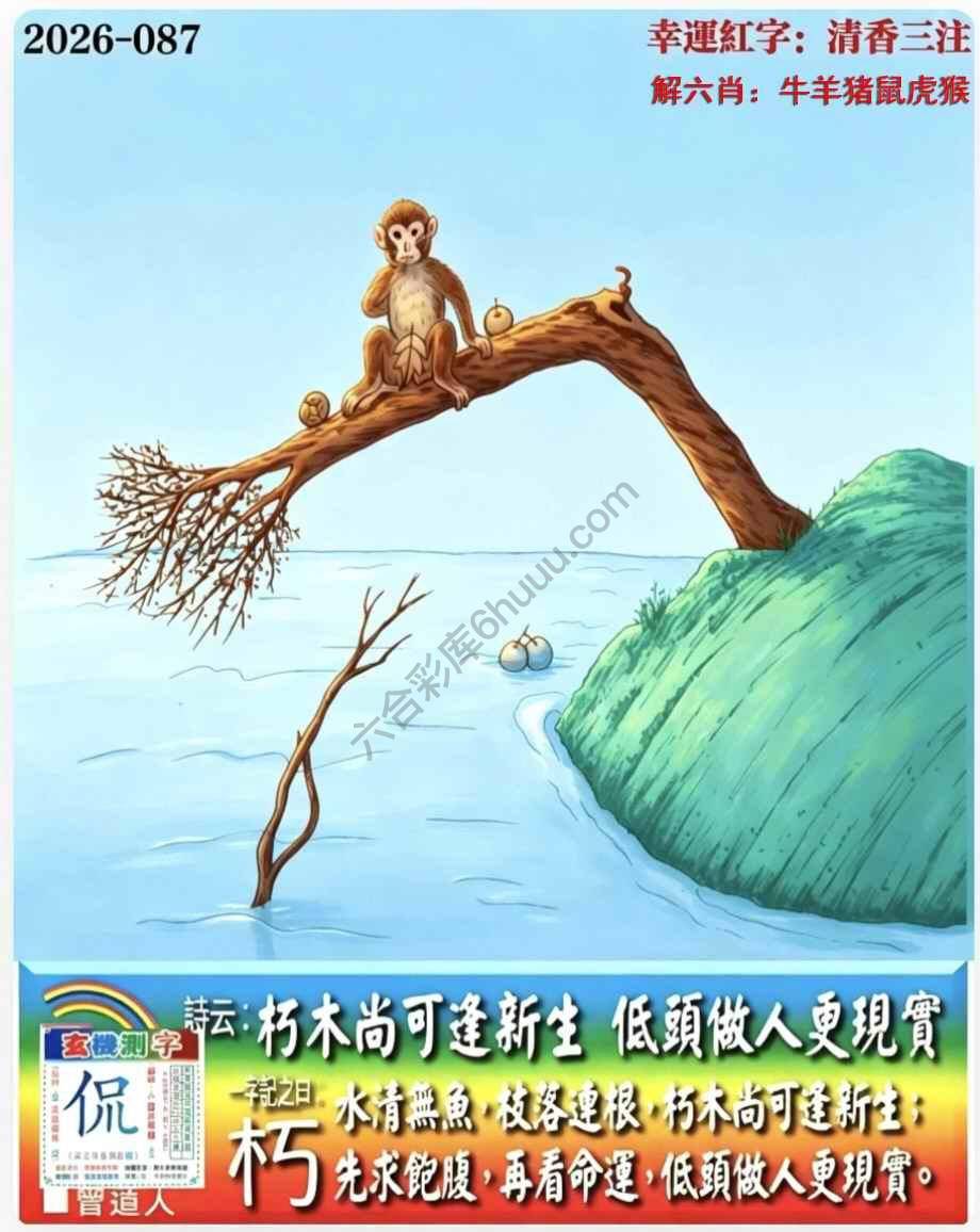 老版跑狗图