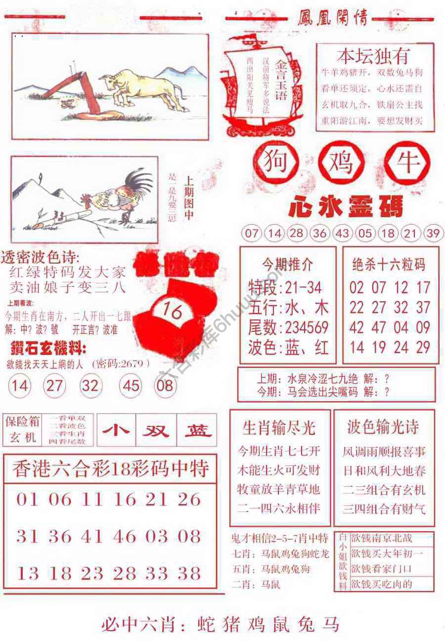 凤凰闲情