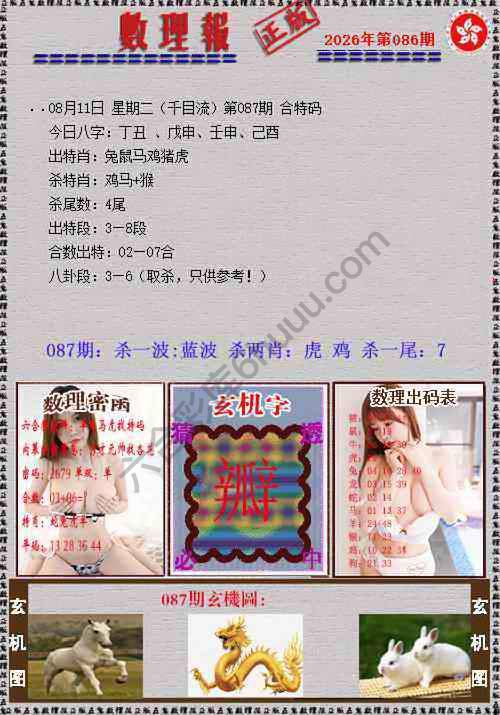 数理报