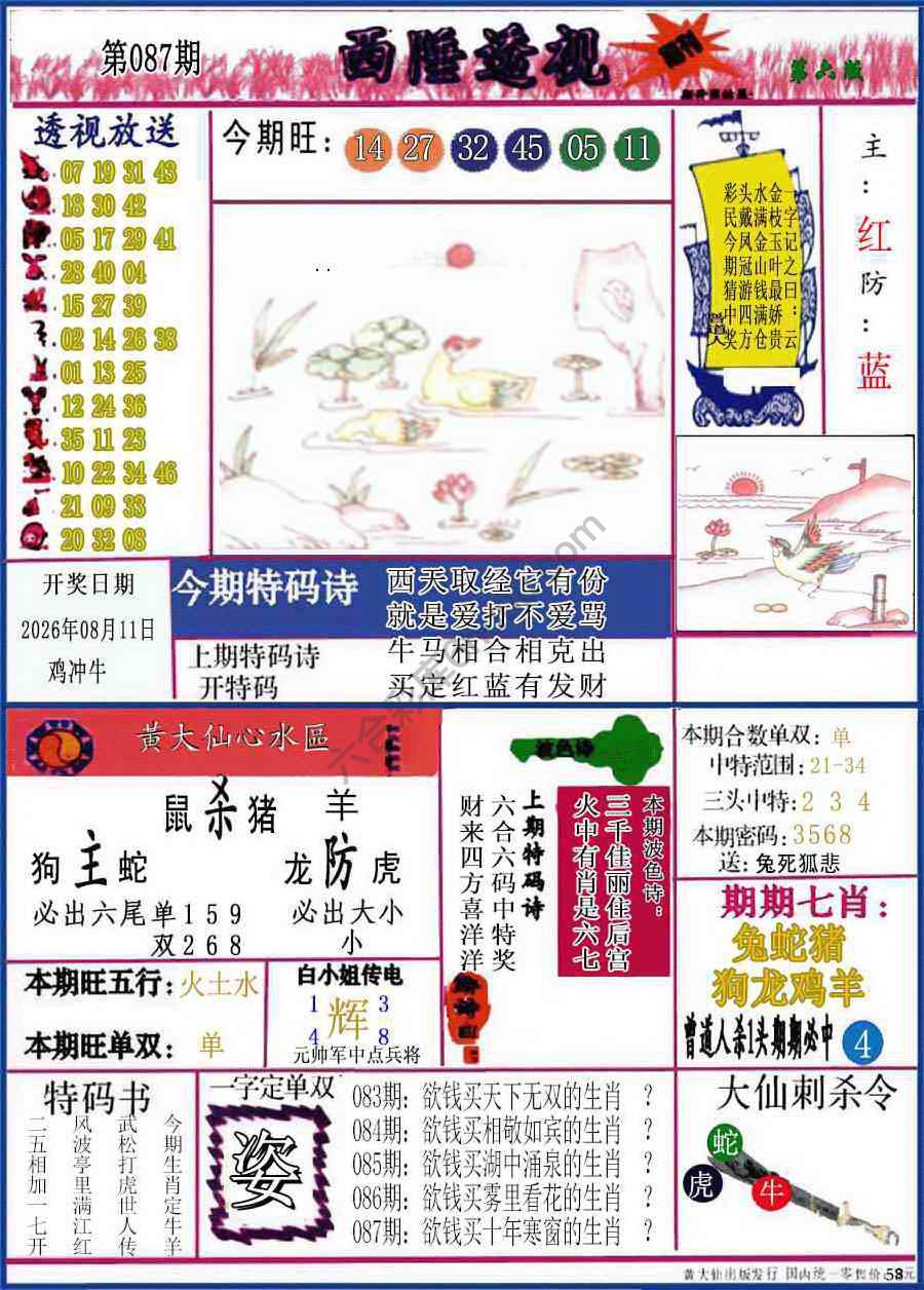 西陲透视（正版）