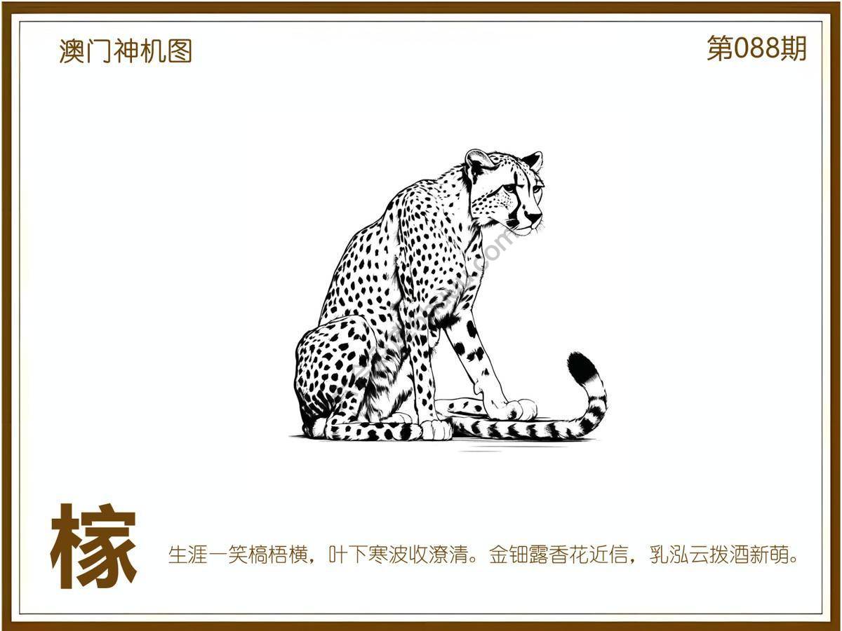 澳门神机图