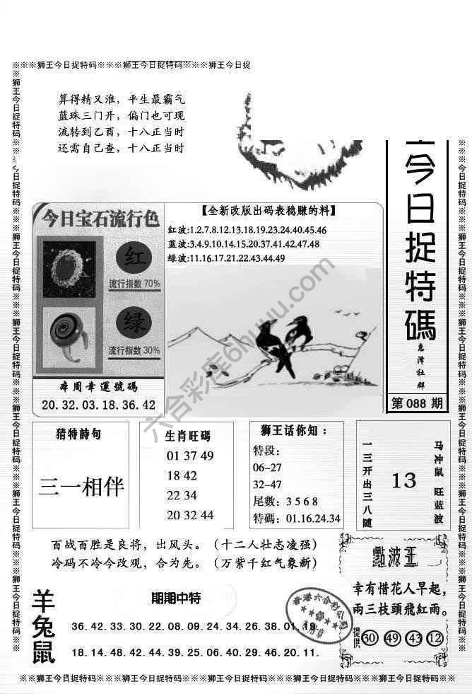 狮王今日抓特码