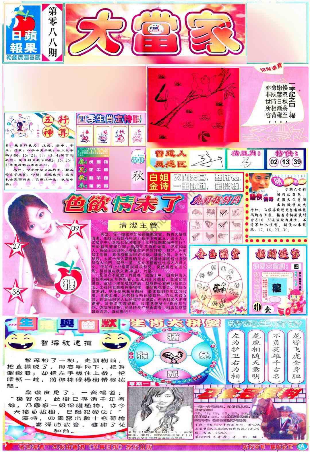 大当家