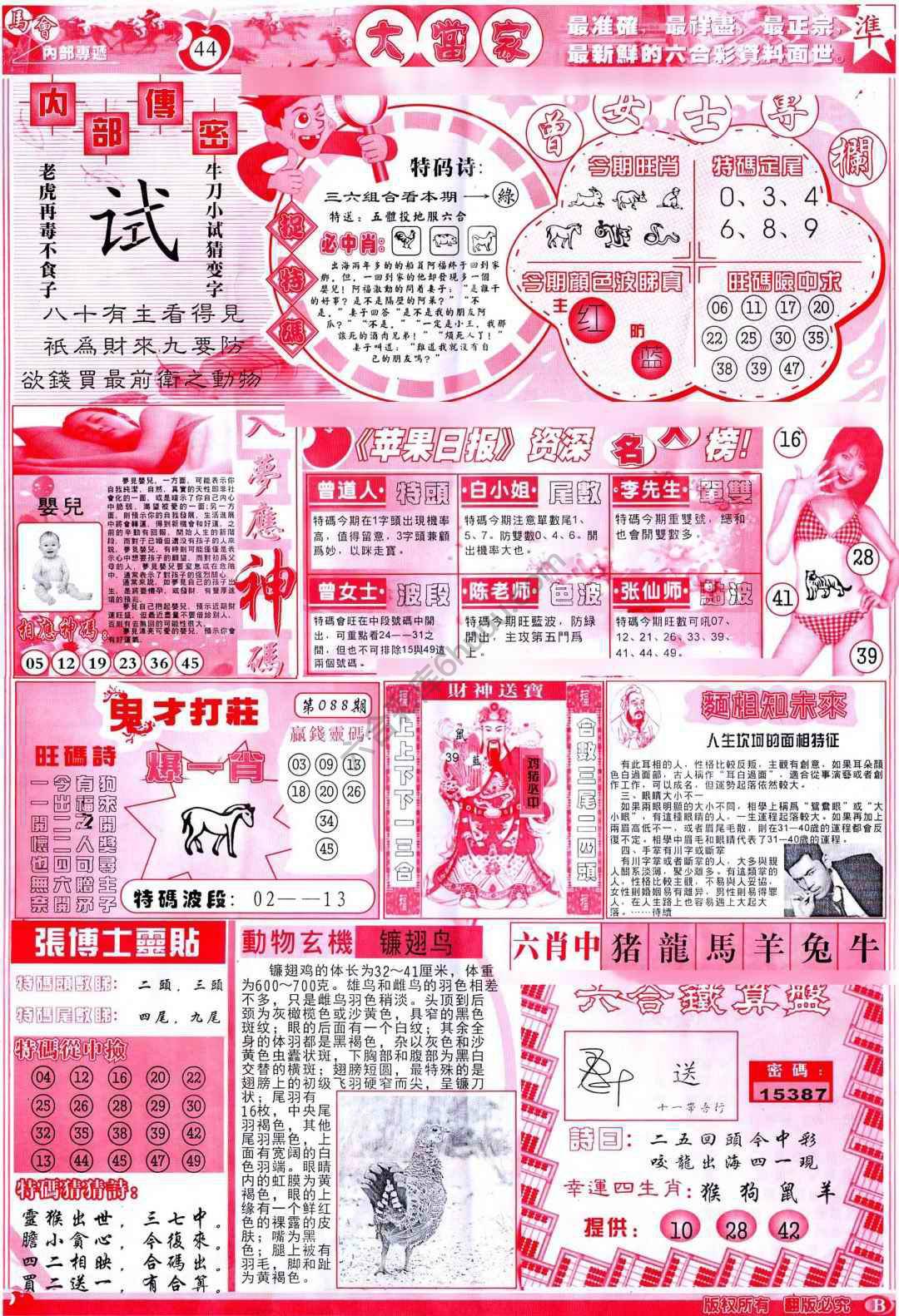 大当家