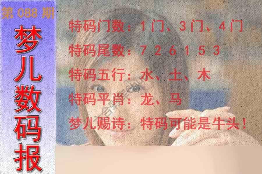 梦儿数码报