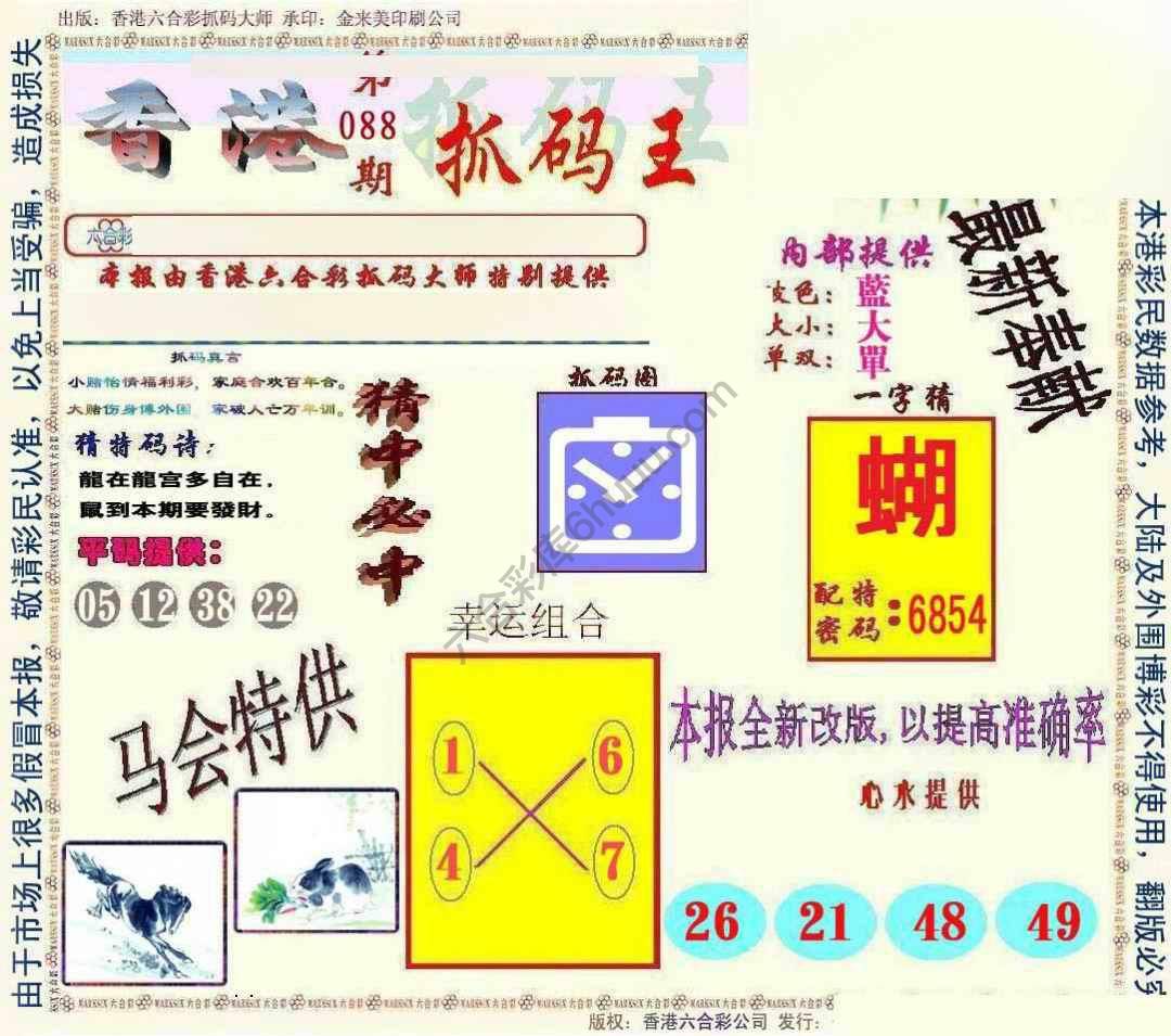 新抓码王