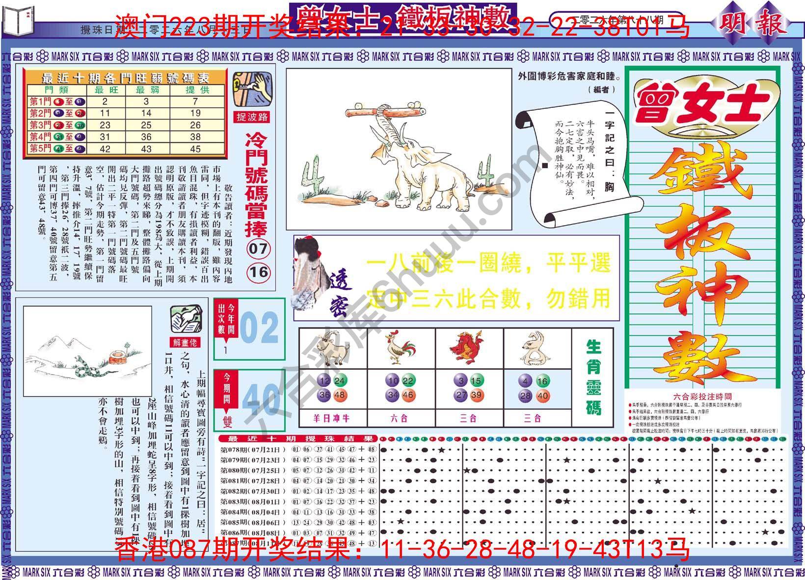 曾女士铁板神数