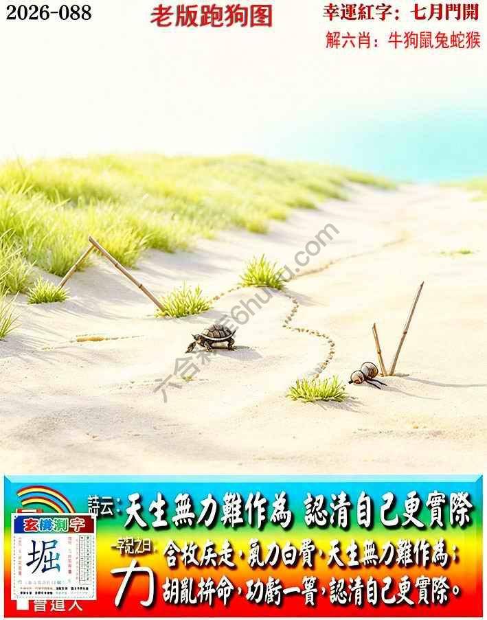 老版跑狗图