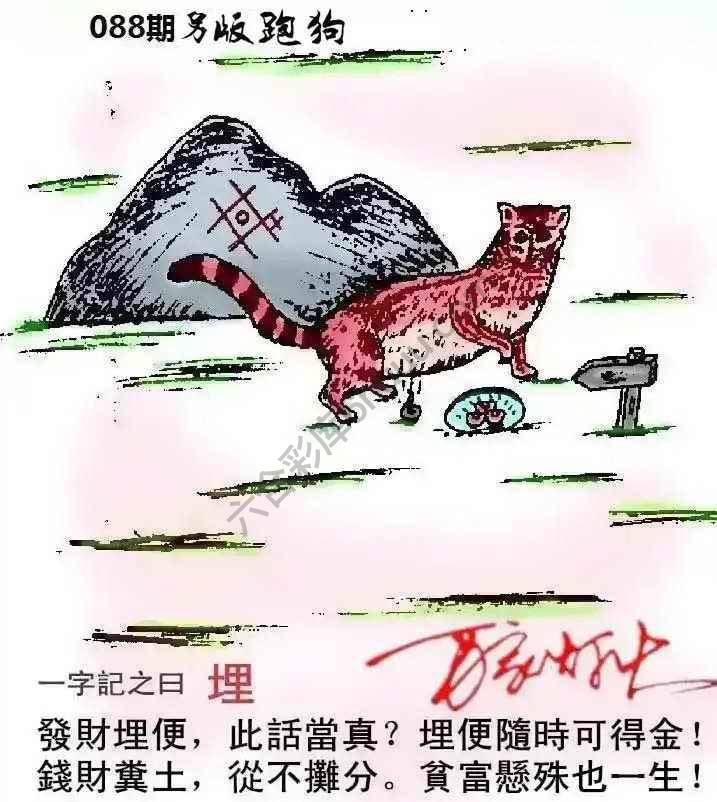 另版跑狗