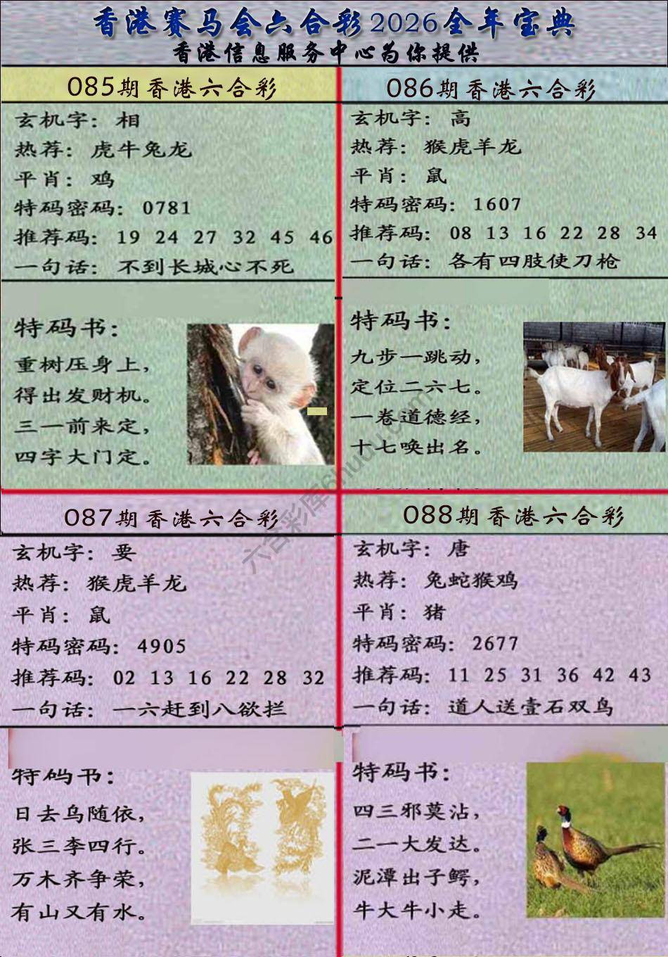 宝典报