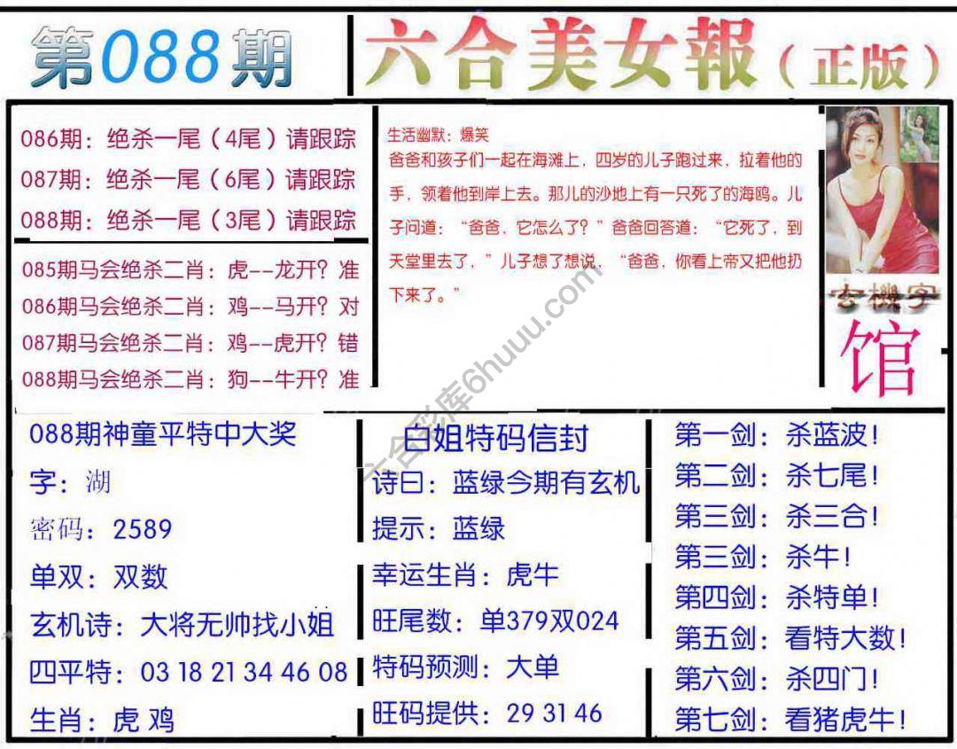 六合美女报
