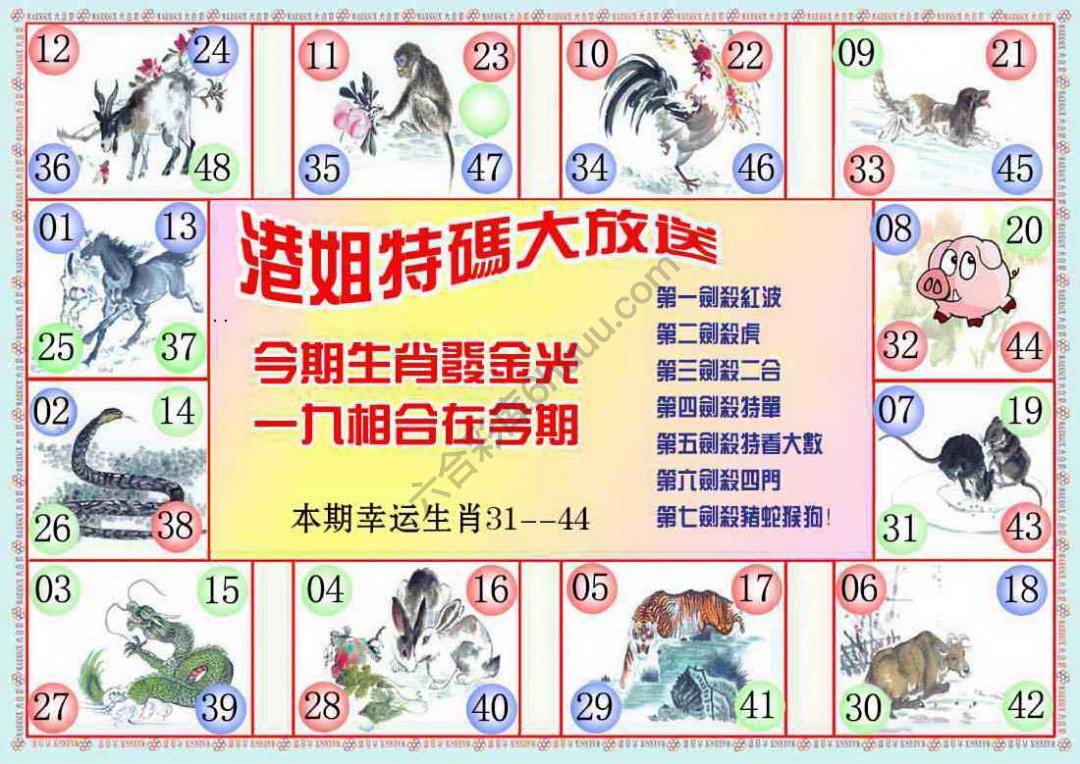 港姐密报