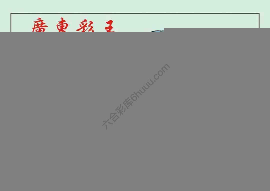 广东彩王