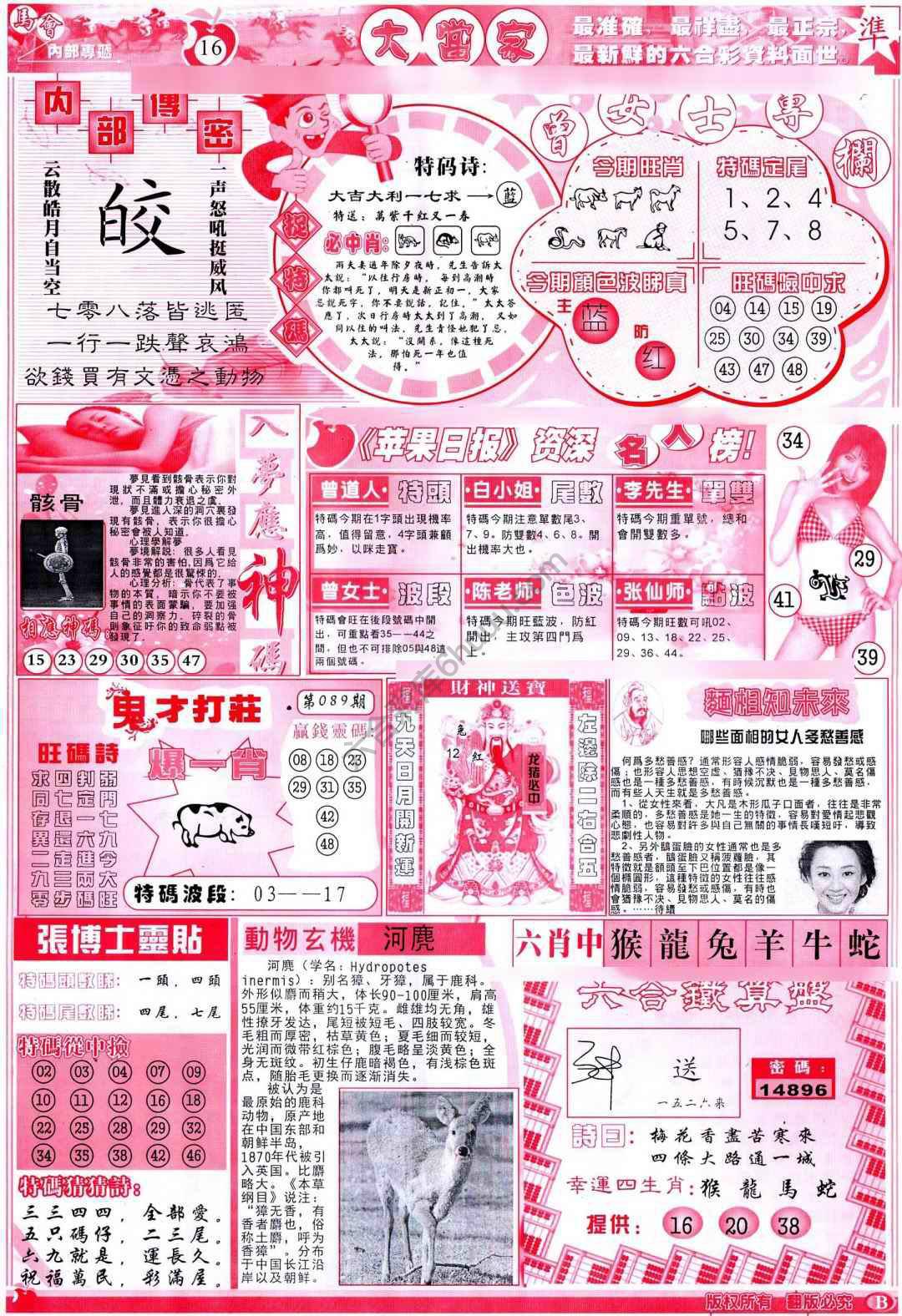 大当家