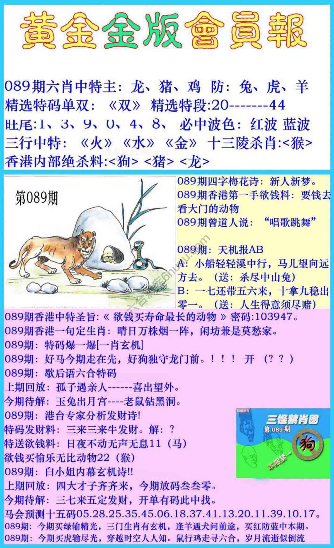 黄金金版会员报