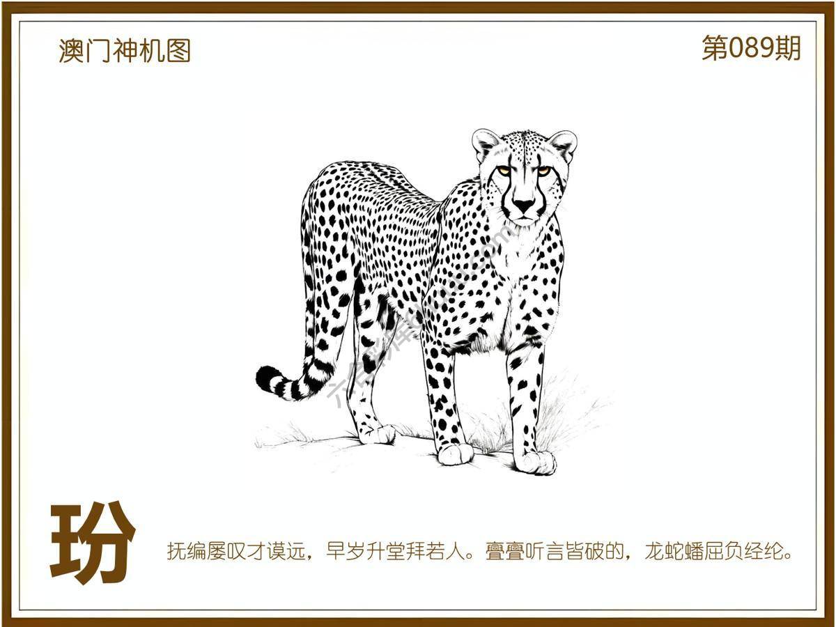 澳门神机图