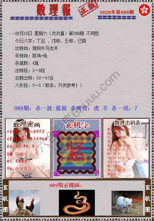 数理报