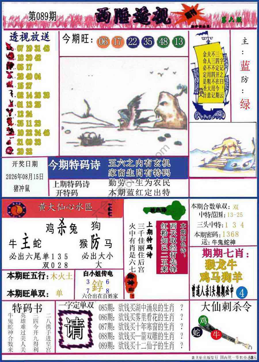 西陲透视（正版）