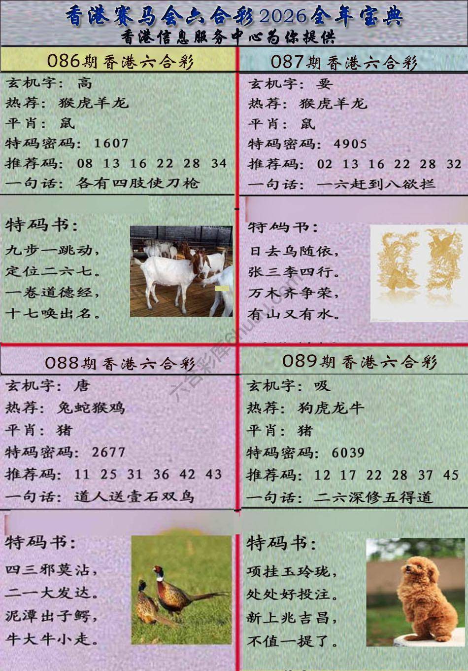 宝典报