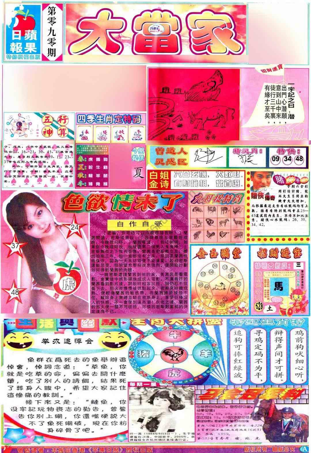 大当家