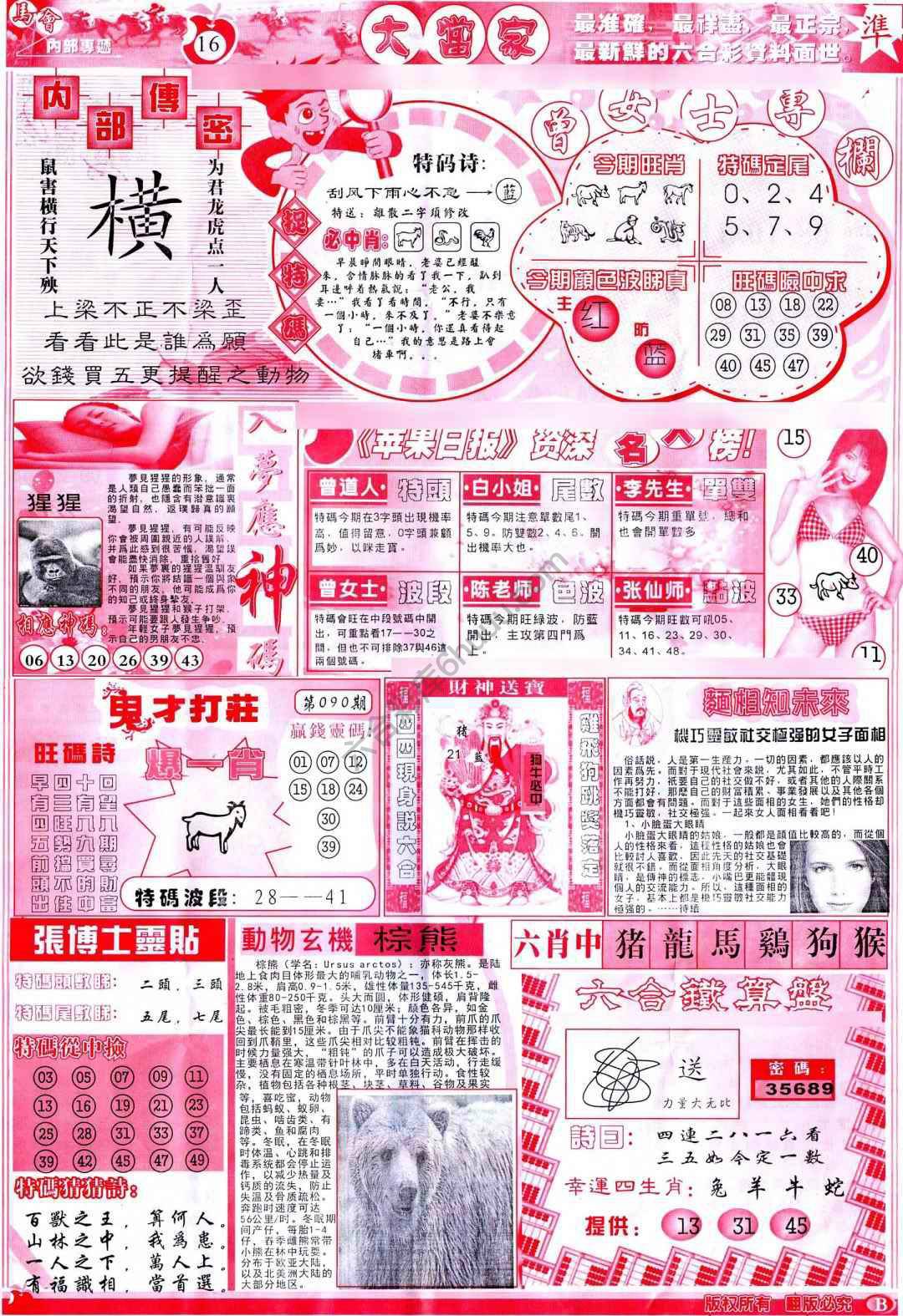 大当家