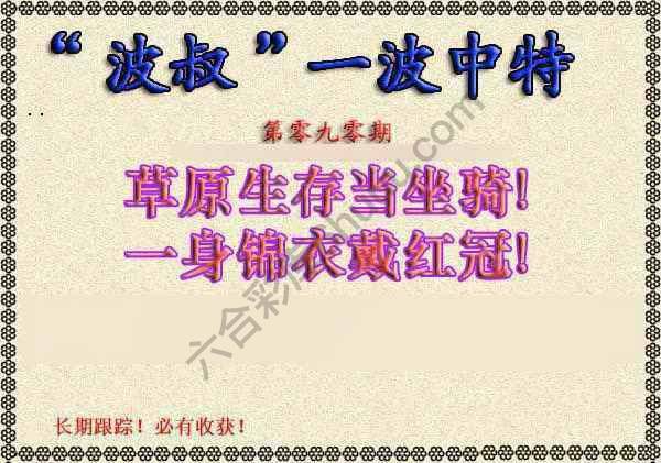 波叔一波中特