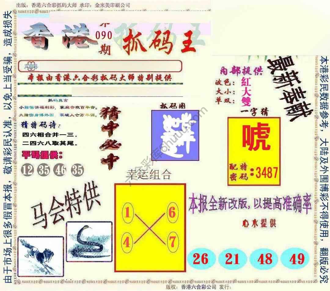 新抓码王