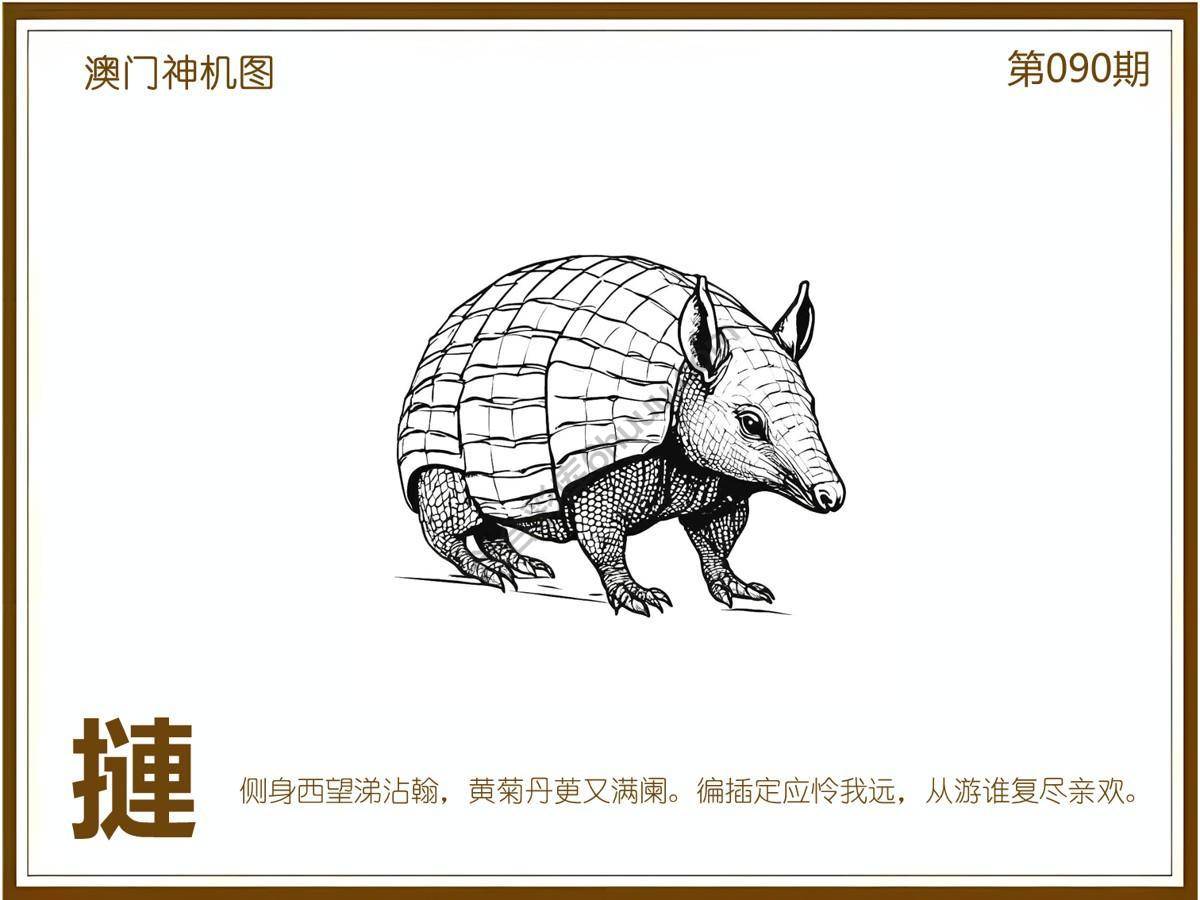 澳门神机图