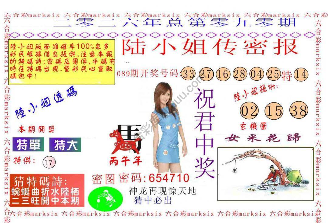 陆小姐传密
