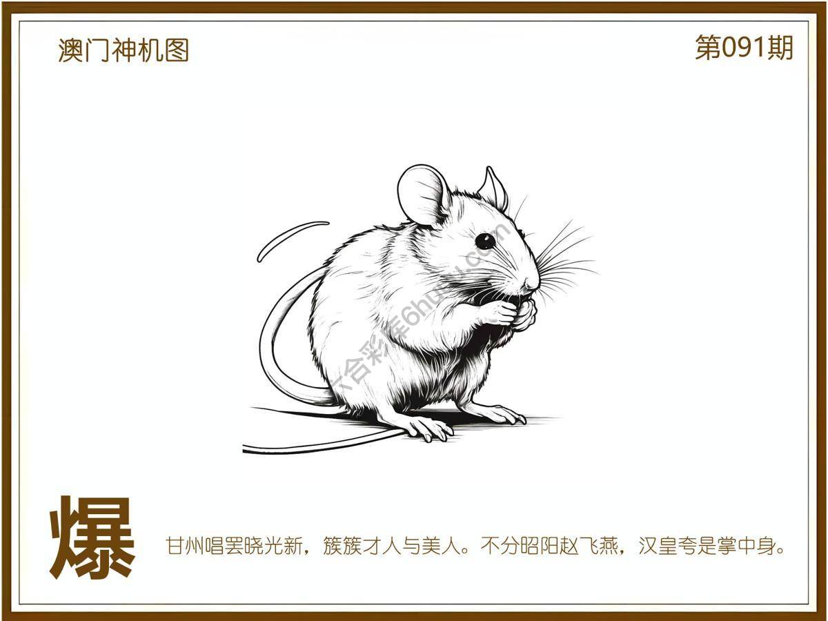 澳门神机图
