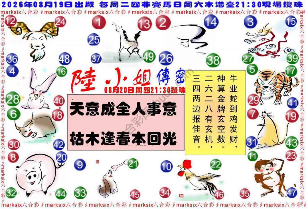 陆小姐传密
