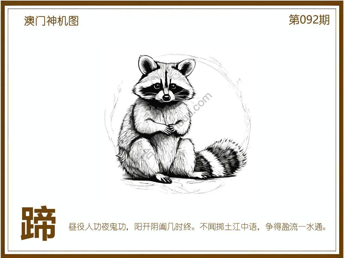 澳门神机图