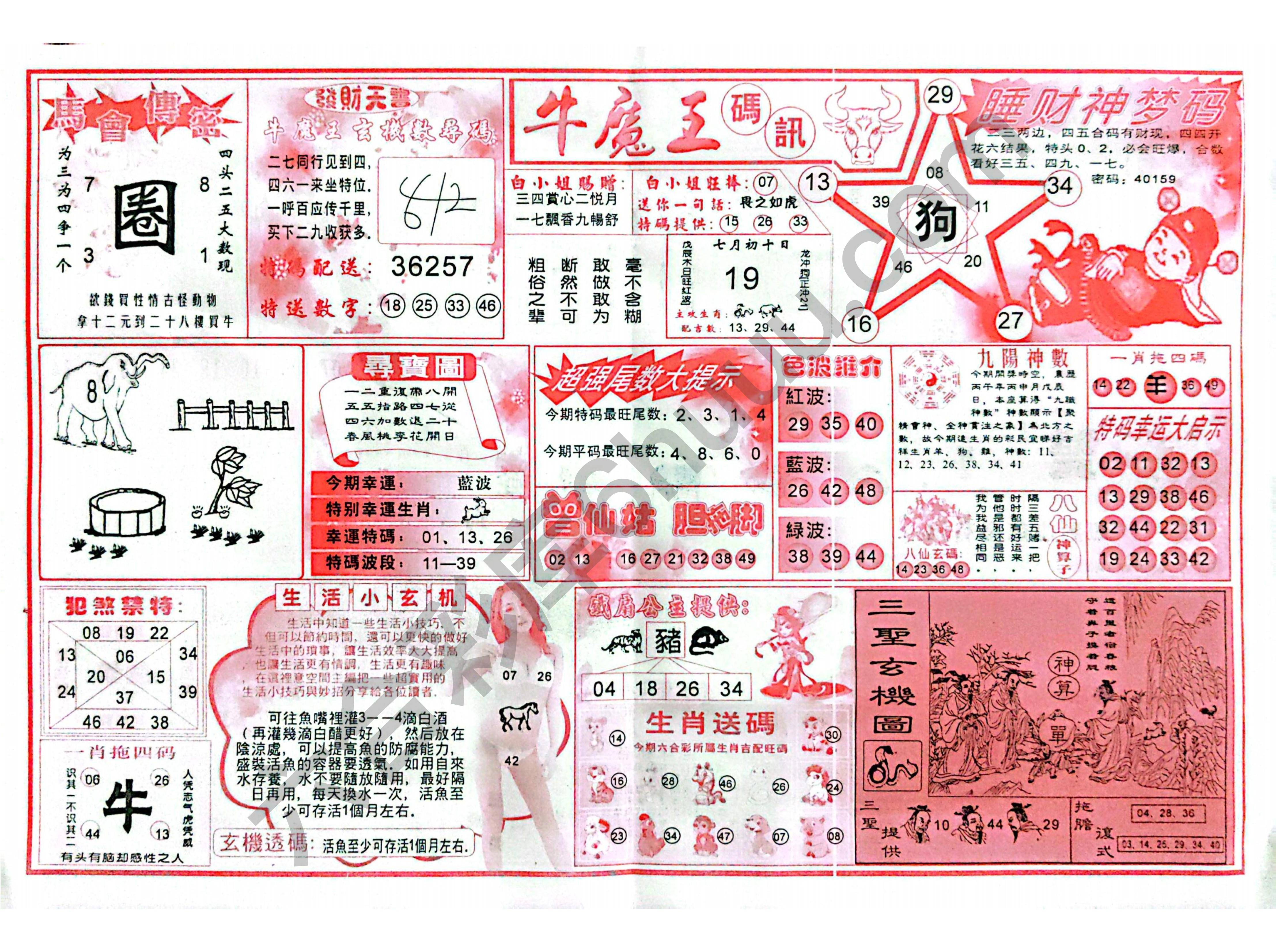 牛魔王码讯