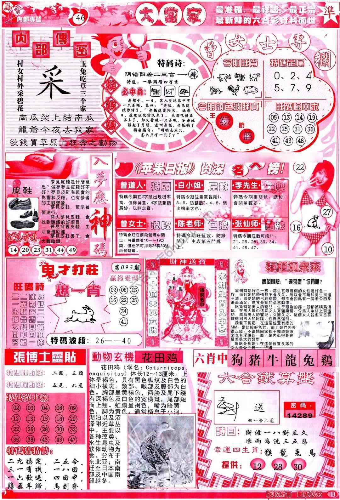 大当家