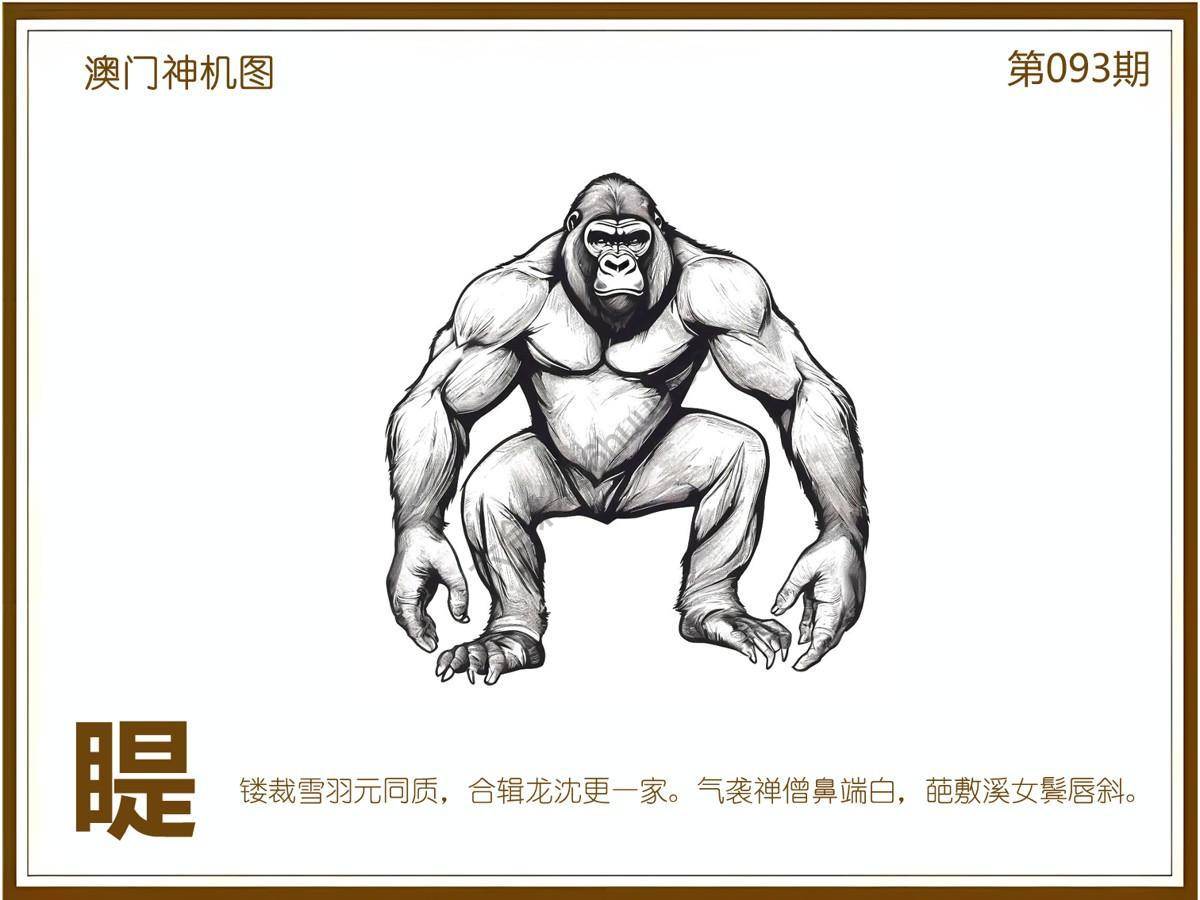 澳门神机图