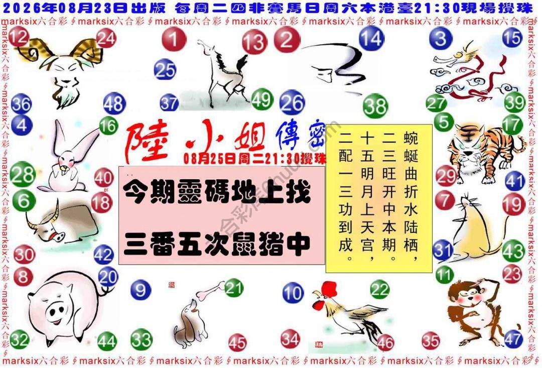 陆小姐传密